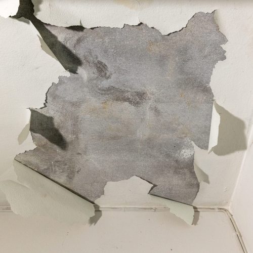 Water leaking from concrete slab porch into room below.